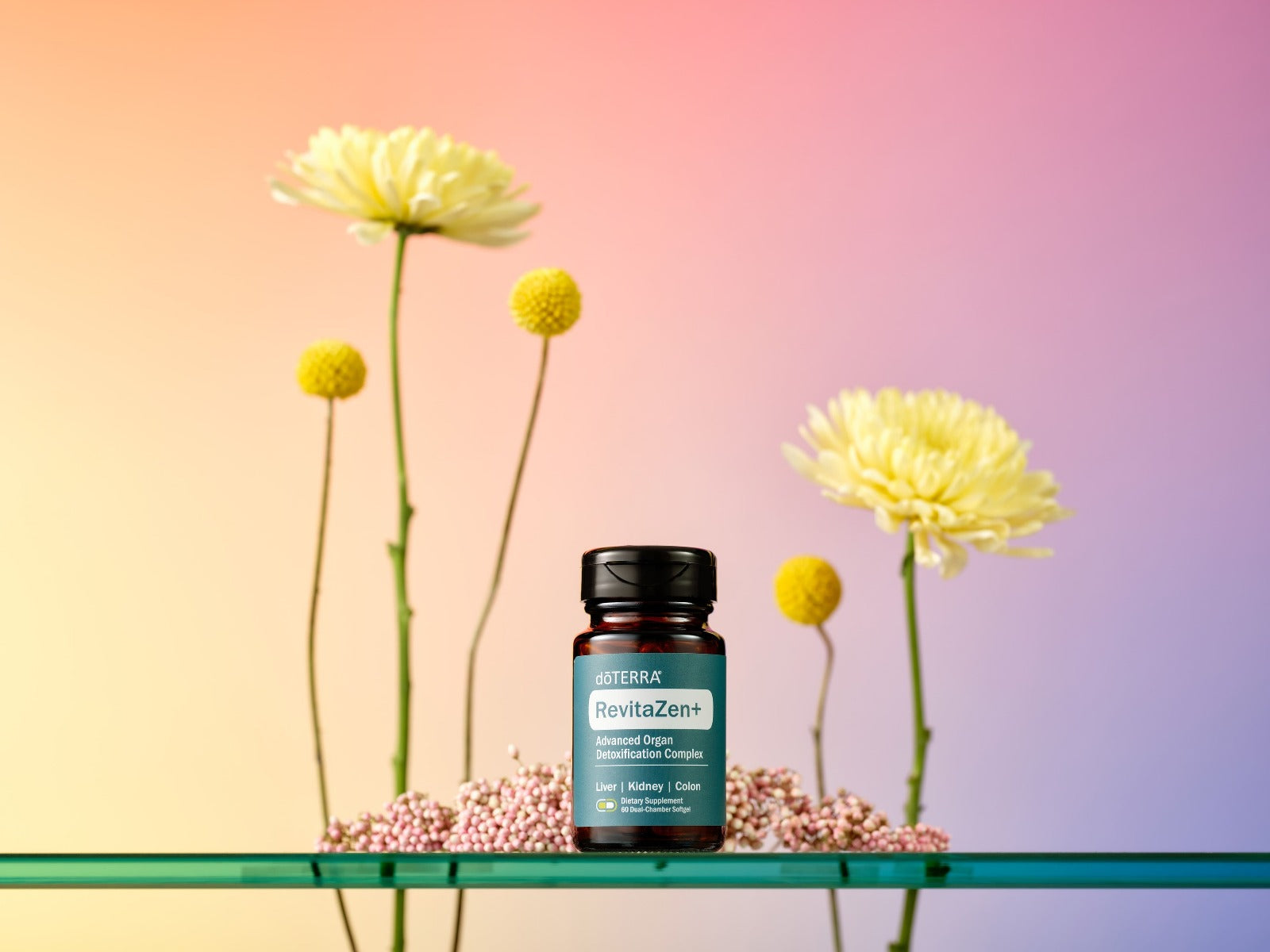 RevitaZen+ Advanced Organ Detoxification Complex