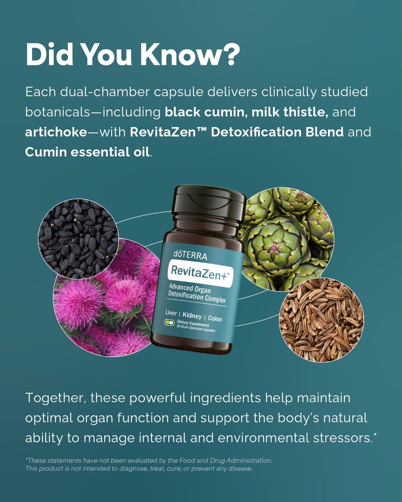 RevitaZen+ Advanced Organ Detoxification Complex